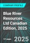 Blue River Resources Ltd (BRVRF:PINX) Canadian Edition, 2025: Analytics, Extensive Financial Metrics, and Benchmarks Against Averages and Top Companies Within its Industry - Product Thumbnail Image