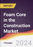 Foam Core in the Construction Market Report: Trends, Forecast and Competitive Analysis to 2031- Product Image