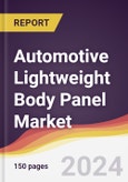 Automotive Lightweight Body Panel Market Report: Trends, Forecast and Competitive Analysis to 2031- Product Image