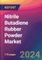 Nitrile Butadiene Rubber (NBR) Powder Market Size, Market Share, Application Analysis, Regional Outlook, Growth Trends, Key Players, Competitive Strategies and Forecasts, 2024 To 2032 - Product Image