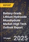 2025 Global Forecast for Battery-Grade Lithium Hydroxide Monohydrate Market (2026-2031 Outlook)-High Tech Outlook Report - Product Thumbnail Image