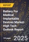 2025 Global Forecast for Battery For Medical Implantable Devices Market (2026-2031 Outlook)-High Tech Outlook Report - Product Thumbnail Image
