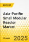 Asia-Pacific Small Modular Reactor Market: Focus on Application, Reactor Type, Power Generation Capacity, and Country - Analysis and Forecast, 2023-2033 - Product Image
