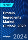 Protein Ingredients Market Outlook, 2029- Product Image