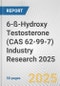 6-ß-Hydroxy Testosterone (CAS 62-99-7) Industry Research 2025: Global and Regional Market Trends 2019-2024 and Forecast to 2029 - Product Image