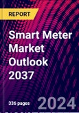 Smart Meter Market Outlook 2037- Product Image