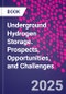 Underground Hydrogen Storage. Prospects, Opportunities, and Challenges - Product Thumbnail Image
