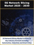 5G Network Slicing Market by Infrastructure, SpectrumBand, Segment, Industry Vertical, Application and Services 2025 - 2030- Product Image