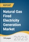 Natural Gas Fired Electricity Generation Market Size, Share & Trends Analysis Report By Technology (Open Cycle, Combined Cycle), By Application (Power & Utility, Industrial), By Region, And Segment Forecasts, 2025 - 2030 - Product Thumbnail Image