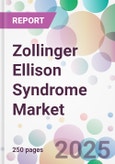 Zollinger Ellison Syndrome Market- Product Image