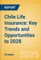 Chile Life Insurance: Key Trends and Opportunities to 2028 - Product Thumbnail Image