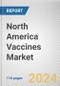 North America Vaccines Market: Opportunity Analysis and Industry Forecast, 2024-2033 - Product Image