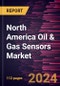 North America Oil & Gas Sensors Market Forecast to 2031 - Regional Analysis - by Type, Connectivity, Function, and Application - Product Thumbnail Image