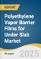 Polyethylene Vapor Barrier Films for Under Slab Market Size, Share & Trends Analysis Report by Thickness, Product (HDPE, LLDPE), Application, End Use, Grade, and Region with Growth Forecasts, 2025-2030 - Product Image