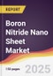 Boron Nitride Nano Sheet Market Report: Trends, Forecast and Competitive Analysis to 2031 - Product Thumbnail Image