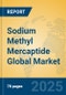 Sodium Methyl Mercaptide Global Market Insights 2025, Analysis and Forecast to 2030, by Manufacturers, Regions, Technology, Application - Product Thumbnail Image