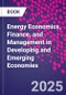 Energy Economics, Finance, and Management in Developing and Emerging Economies - Product Thumbnail Image