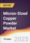 Micron-Sized Copper Powder Market Report: Trends, Forecast and Competitive Analysis to 2031 - Product Image