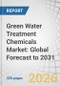 Green Water Treatment Chemicals Market: Global Forecast to 2031 - Product Thumbnail Image
