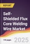Self-Shielded Flux Core Welding Wire Market Report: Trends, Forecast and Competitive Analysis to 2031 - Product Image