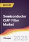 Semiconductor CMP Filter Market Report: Trends, Forecast and Competitive Analysis to 2031 - Product Image