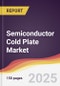 Semiconductor Cold Plate Market Report: Trends, Forecast and Competitive Analysis to 2031 - Product Image
