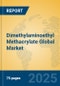 Dimethylaminoethyl Methacrylate Global Market Insights 2025, Analysis and Forecast to 2030, by Manufacturers, Regions, Technology, Application - Product Thumbnail Image