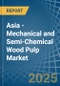 Asia - Mechanical and Semi-Chemical Wood Pulp - Market Analysis, Forecast, Size, Trends and Insights - Product Thumbnail Image
