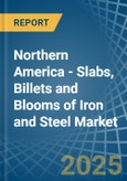 Northern America - Slabs, Billets and Blooms of Iron and Steel - Market Analysis, Forecast, Size, Trends and Insights- Product Image