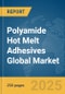 Polyamide Hot Melt Adhesives Global Market Report 2025 - Product Thumbnail Image