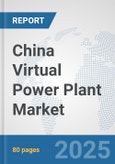 China Virtual Power Plant Market: Prospects, Trends Analysis, Market Size and Forecasts up to 2032- Product Image