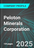 Peloton Minerals Corporation (PMCCF:PINX) : Analytics, Extensive Financial Metrics, and Benchmarks Against Averages and Top Companies Within its Industry- Product Image