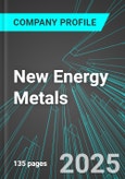 New Energy Metals (ENRG:TSX) : Analytics, Extensive Financial Metrics, and Benchmarks Against Averages and Top Companies Within its Industry- Product Image