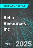 Bella Resources Inc (BP.H:TSX) : Analytics, Extensive Financial Metrics, and Benchmarks Against Averages and Top Companies Within its Industry- Product Image