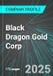 Black Dragon Gold Corp (BDGCF:GREY) : Analytics, Extensive Financial Metrics, and Benchmarks Against Averages and Top Companies Within its Industry - Product Thumbnail Image