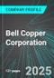 Bell Copper Corporation (BCU:TSX) : Analytics, Extensive Financial Metrics, and Benchmarks Against Averages and Top Companies Within its Industry - Product Thumbnail Image