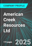 American Creek Resources Ltd (AMK:TSX) : Analytics, Extensive Financial Metrics, and Benchmarks Against Averages and Top Companies Within its Industry- Product Image