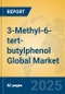 3-Methyl-6-tert-butylphenol Global Market Insights 2025, Analysis and Forecast to 2030, by Manufacturers, Regions, Technology, Application - Product Image