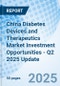 China Diabetes Devices and Therapeutics Market Investment Opportunities - Q2 2025 Update - Product Image