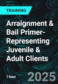 Arraignment & Bail Primer-Representing Juvenile & Adult Clients (Recorded)- Product Image