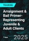 Arraignment & Bail Primer-Representing Juvenile & Adult Clients (Recorded) - Product Thumbnail Image