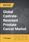 Castrate-Resistant Prostate Cancer - Global Strategic Business Report - Product Thumbnail Image