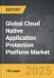 Cloud Native Application Protection Platform (CNAPP) - Global Strategic Business Report - Product Image