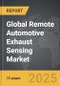 Remote Automotive Exhaust Sensing - Global Strategic Business Report - Product Thumbnail Image