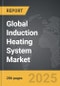 Induction Heating System - Global Strategic Business Report - Product Thumbnail Image