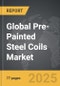 Pre-Painted Steel Coils - Global Strategic Business Report - Product Image