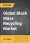 Black Mass Recycling - Global Strategic Business Report - Product Image