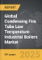 Condensing Fire Tube Low Temperature Industrial Boilers - Global Strategic Business Report - Product Thumbnail Image