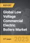 Low Voltage Commercial Electric Boilers - Global Strategic Business Report - Product Thumbnail Image