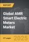 AMR Smart Electric Meters - Global Strategic Business Report - Product Image
